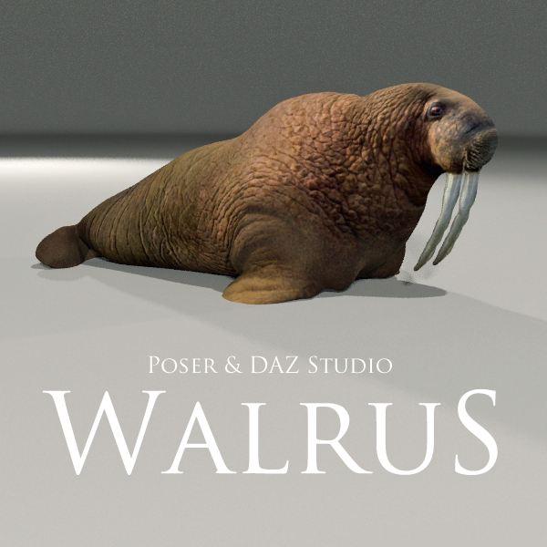 Free Walrus Prop for Poser and DAZ Studio.